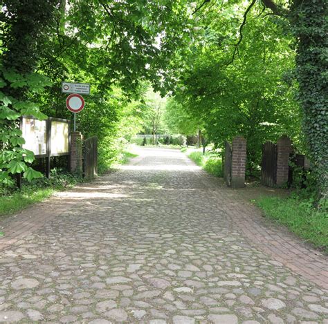 Bei wohnungsboerse.net finden sie ein großes angebot an attraktiven wohnungen in nordholz jeder preisklasse! Dalmatiner-vom-Gut-Nordholz - Die Zuchtstätte - Dalmatiner ...