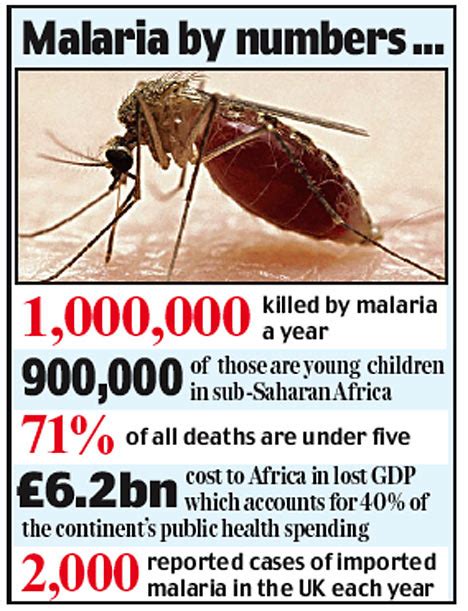 Anti Malaria Mosquito Could Save Millions Of Lives Daily Mail Online