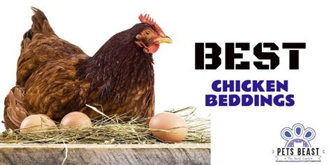 The Best Nesting Pads And Chicken Coop Beddings 2020 Reviews Chicken