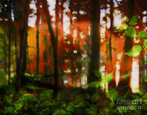 Magic Forest Digital Art By George Lodge