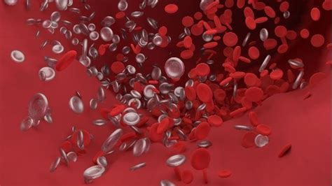 Covid 19 Causes Hyperactivity In Blood Clotting Cells Technology