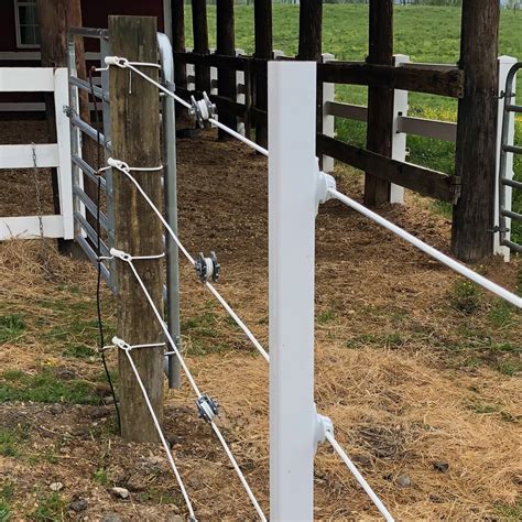 2 X 2 X 60 T Post Sleeve With Cap Ramm Fence