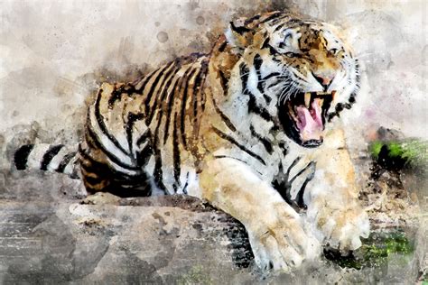Tiger Abstract Art 4k Hd Artist 4k Wallpapers Images Backgrounds Riset