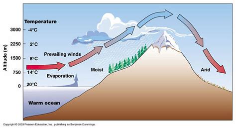 How Do Mountains Affect Precipitation