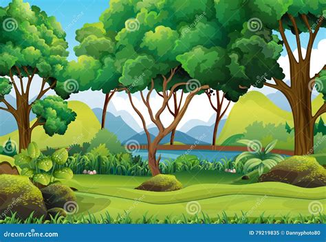 Forest Scene With River And Trees Stock Vector Illustration Of Woods