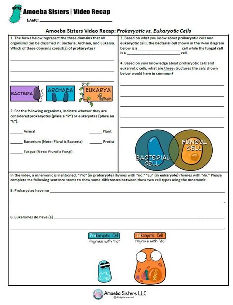 Some of the worksheets for this concept are amoeba sisters video recap monohybrid crosses mendelian, amoeba sisters video refreshers april 2015, monohybrid cross work key, monohybrid crosses and the punnett square lesson plan, genetics work. This FREE Prokaryotic vs. Eukaryotic Cells handout goes ...