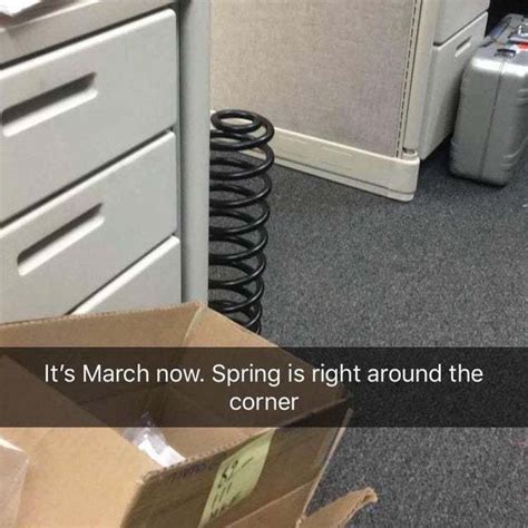 Its March Now Spring Is Right Around The Corner Meme By