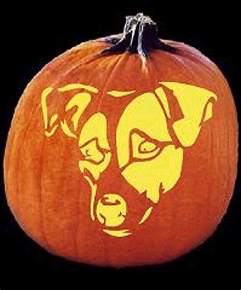 Terriermans Daily Dose Halloween Jack Olantern