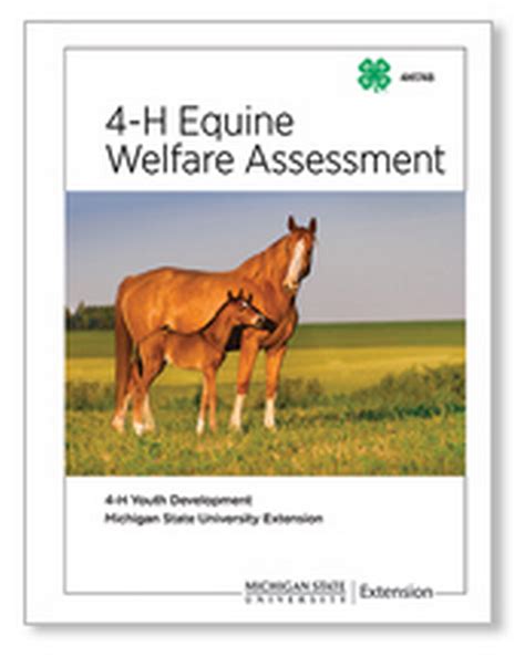 4 H Equine Welfare Assessment 4h1748 Msu Extension