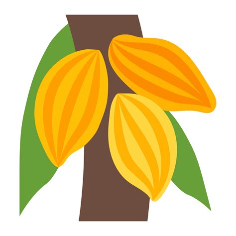 Cacao Png Transparent Image Download Size 1600x1600px