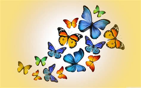 Butterflies Wallpapers Wallpaper Cave