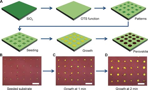 Wafer Scale Growth Of Large Arrays Of Perovskite Microplate Crystals