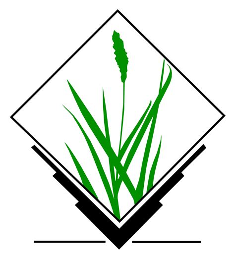 See more of grass auto on facebook. GRASS GIS - Wikipedia