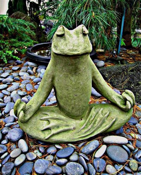 The Meditating Frog