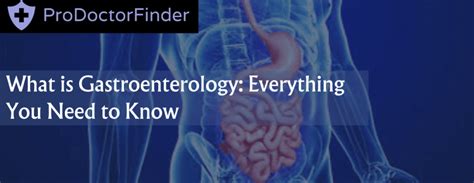 What Is Gastroenterology Everything You Need To Know Prodoctorfinder