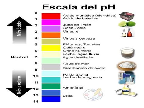 Escala Del Ph Ejemplos