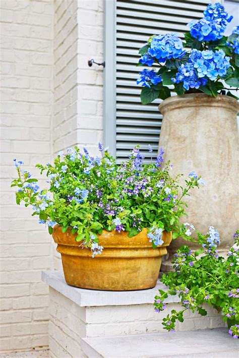 35 Front Door Container Garden Ideas For An Eye Catching Entryway