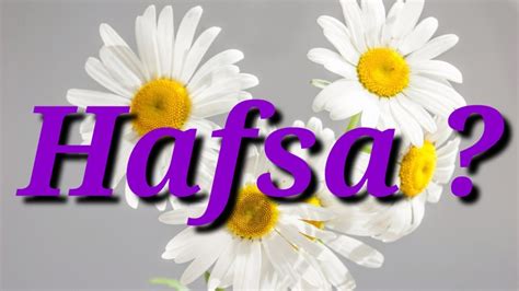 Hafsa Name Status Hafsa Name Meaning Hafsa Name Whatsapp Status Magic Of Name Youtube
