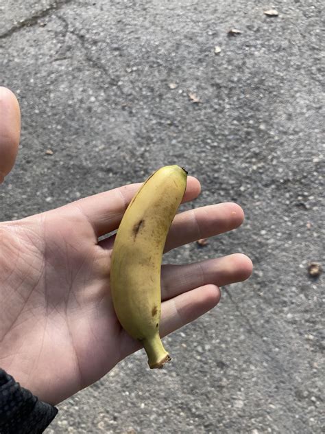 This Tiny Banana Rmildlyinteresting