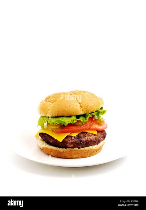 Hamburger On White Plate Stock Photo Alamy