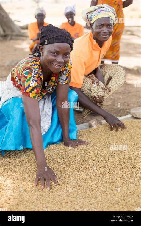 A Womens Cooperative Processes And Parboils Rice As An Income