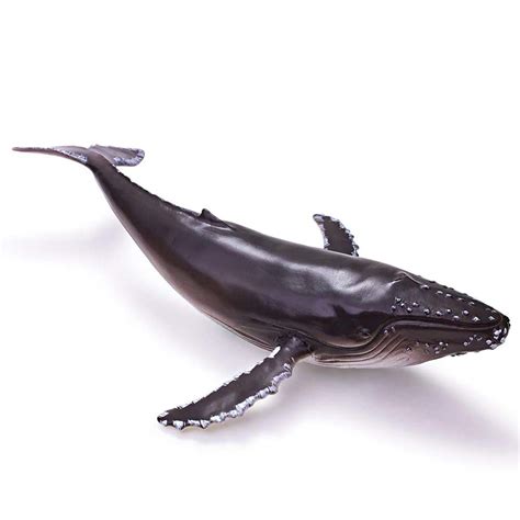 Buy Aikenr Humpback Whale Toy Model Ocean Animals 14 Inches Soft