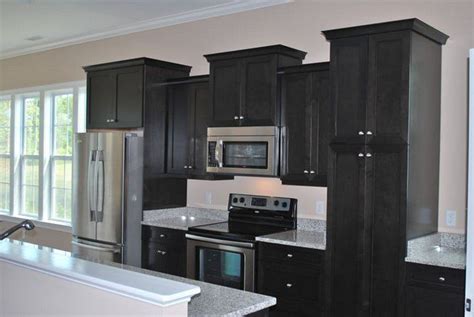 Transitional kitchen cabinets can be more traditional cabinet designs with modern hardware, or a things are getting colorful with kitchen cabinets. Black Stained Kitchen Cabinets