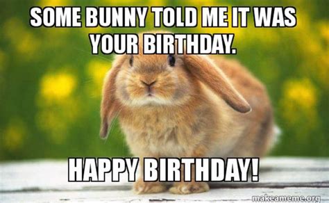 Pin By Lorna Matthews Mccluskey On Happy Birthday Bunny Meme Funny
