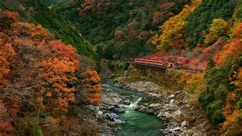 Nature Landscape Trees Forest Branch Leaves Colorful Fall Rock Stones River Stream