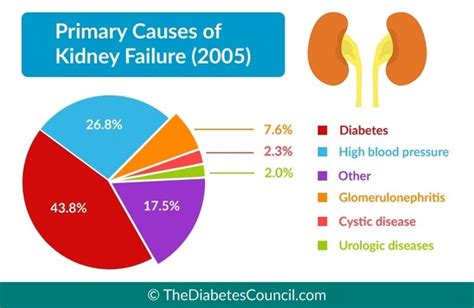 If you have one or more of the 15 symptoms below, or worry about kidney problems, see a doctor for blood and urine tests. Which is the main causes of kidney failure? - Quora