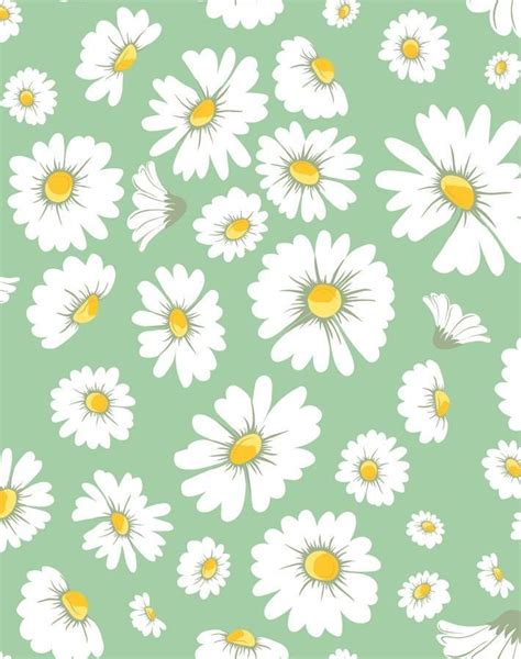 Daisy Bloom Green Flower Phone Wallpaper Bloom Wallpaper Cute