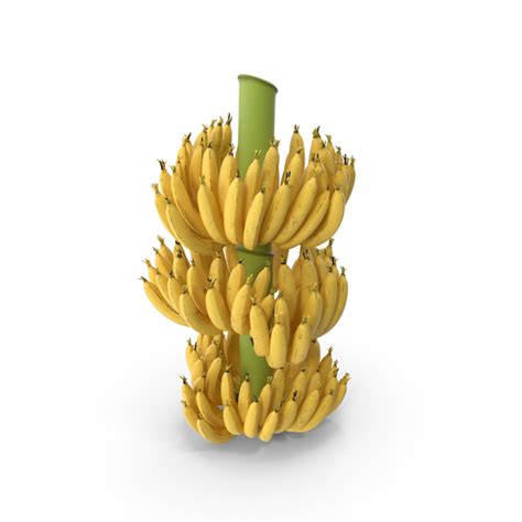 Ripe Yellow Banana Cluster Png Images And Psds For Download Pixelsquid