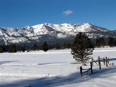 Snowy Meadow Photo