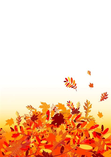Autumn Leaves Background For Your Design Isolated Leaf Wallpaper Vector