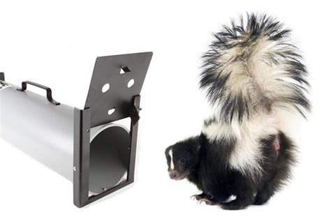 Spray Proof Skunk Trap | Nixalite