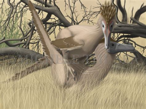 Velociraptor Mongoliensis Mating Season In 2023 Velociraptor Feathered Dinosaurs Seasons