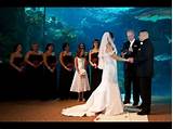 Wedding Photography Videography Packages