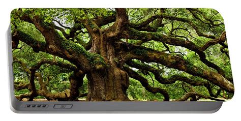 Mystical Angel Oak Tree Portable Battery Charger For Sale By Louis Dallara