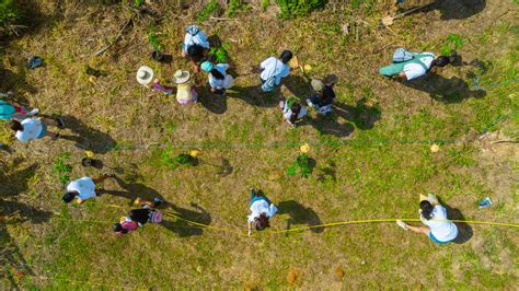 Panorama Farm – Boricorridor