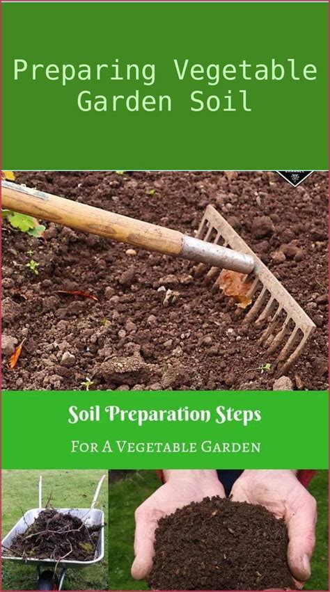 5 Tips For Gardening And Potting Soil Soil Preparation Vegetable