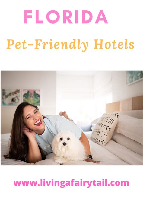 Florida Pet Friendly Hotels Pet Friendly Hotels Florida Hotels Pet