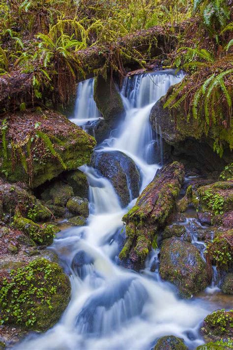 3 Gorgeous Waterfall Hikes In The Redwoods Save The Redwoods League