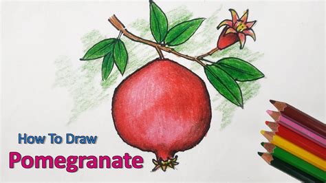 How To Draw Pomegranate Step By Step Very Easy YouTube