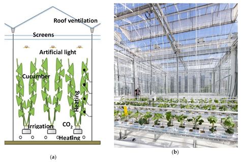 Greenhouse Environmental Control Systems Best Enviromental System