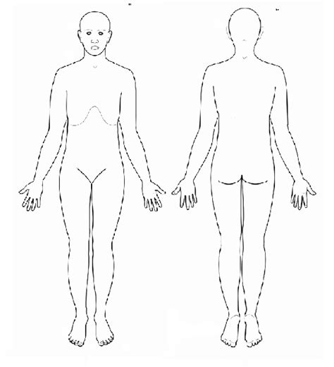 Blank Anatomical Position Diagram Anatomical Terminology Anatomy 622