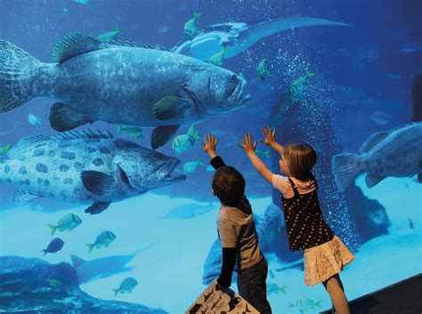 7 Best Aquariums To Visit In Asia