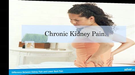 What organs are located on the back lower right hand side? Difference Between Kidney Pain and Lower Back Pain - YouTube