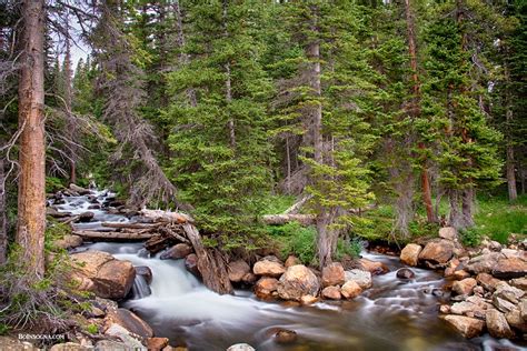 Colorado Rocky Mountain Forest Stream Colorado Rocky Mount Flickr
