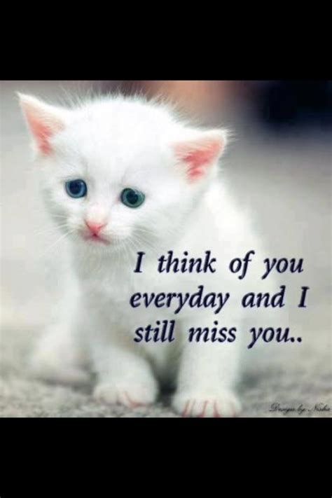 I Miss You I Still Miss You Still Miss You Thinking Of You Quotes