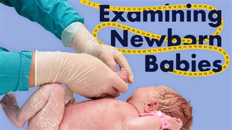 Examination Of The Newborn Ausmed